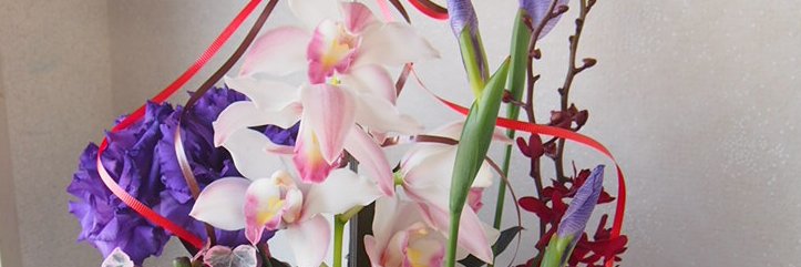 Momofcats_non's profile banner image