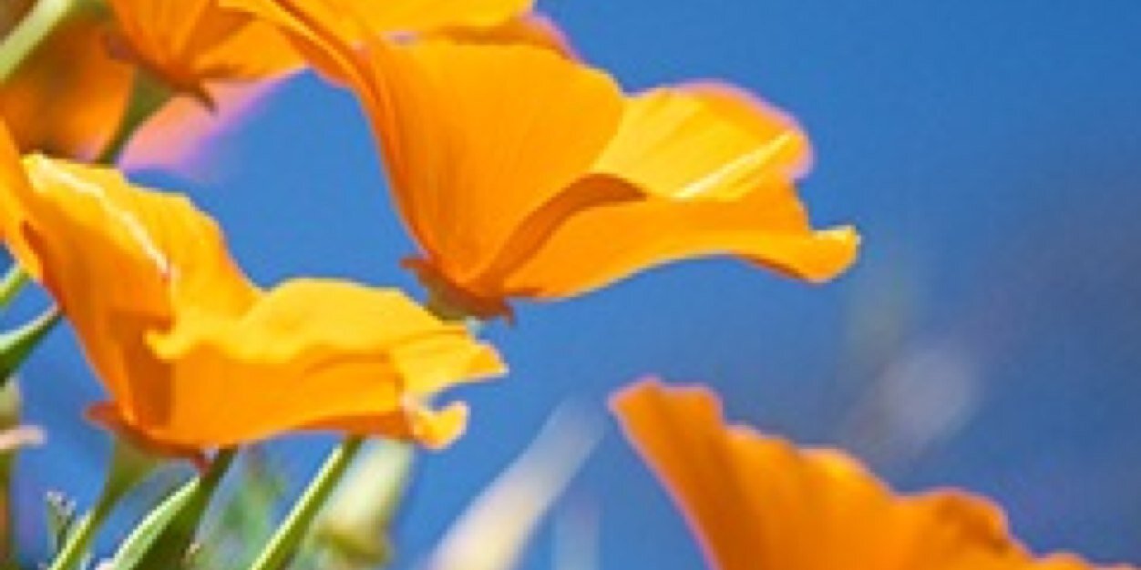 claypoolschool's profile banner image