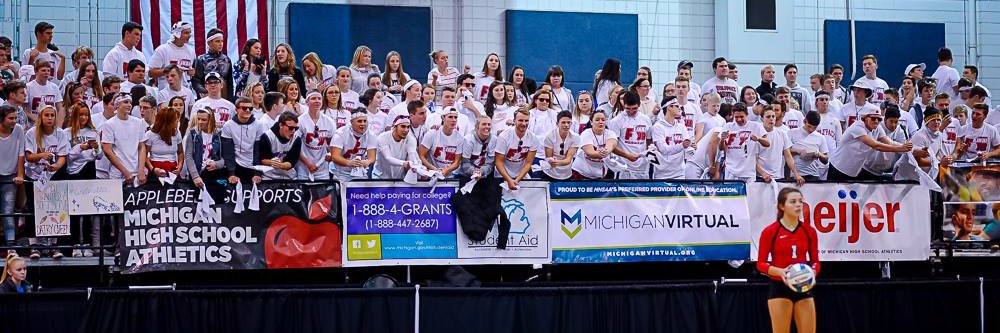 Laingsburg_HS banner