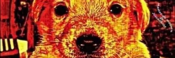 FabriiCalvo's profile banner image