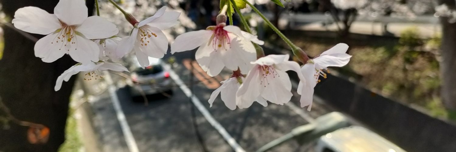 いつもいるオバさん💜🥳🧑‍🦰💒 banner