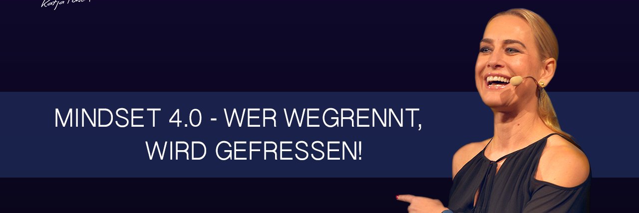 porsch6's profile banner image