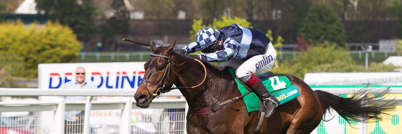 Danny Webb banner