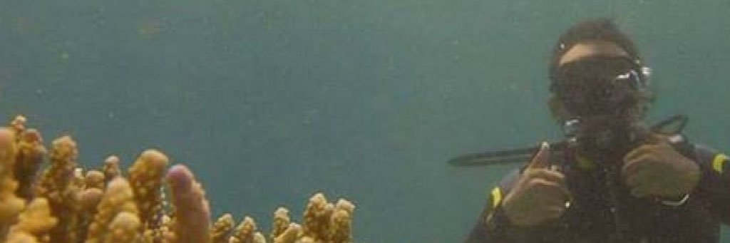 cgozo88's profile banner image