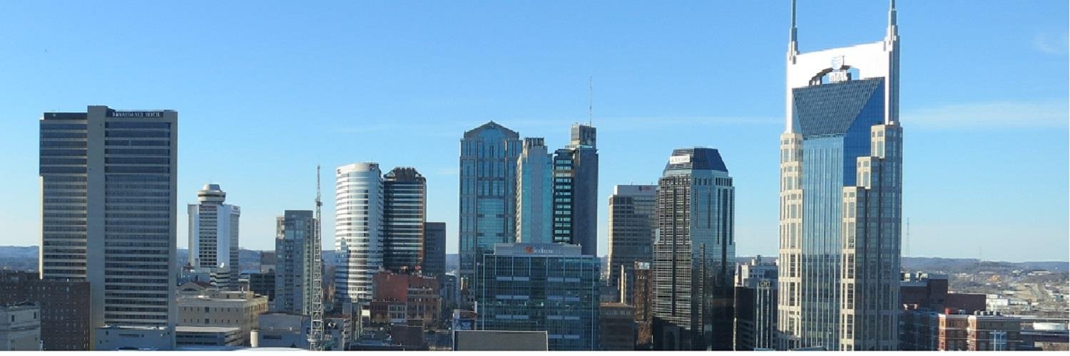 The Nashville Globe banner