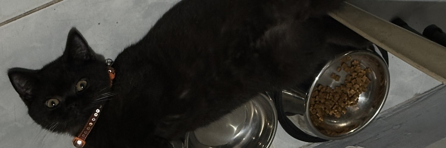 docsisz's profile banner image
