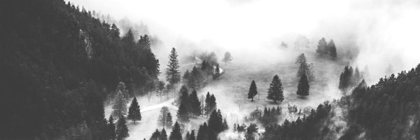 katak1979 Profile Banner