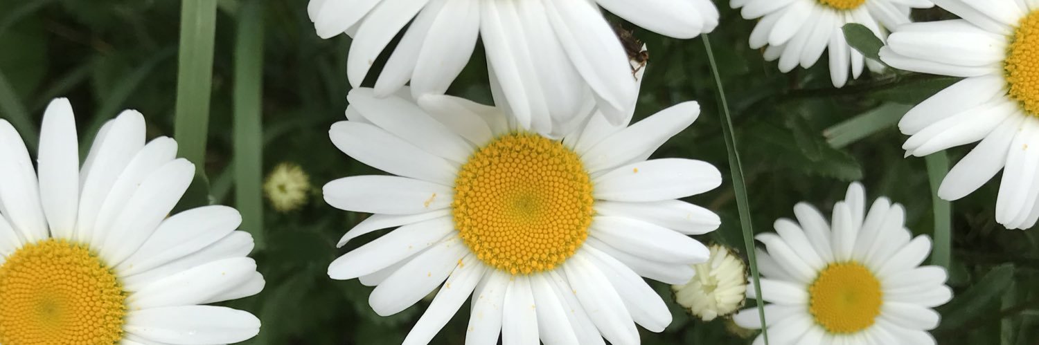 weejudee1's profile banner image