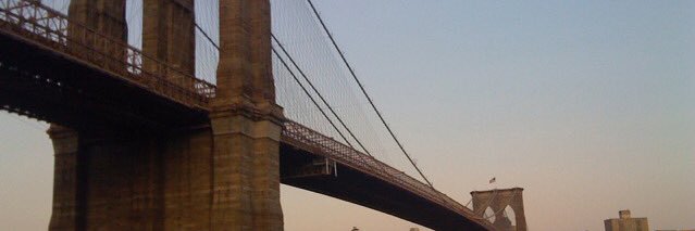 Bella Bee  banner