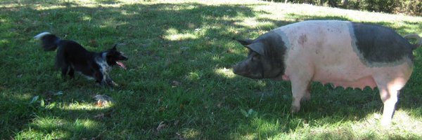 jaredrrt Profile Banner