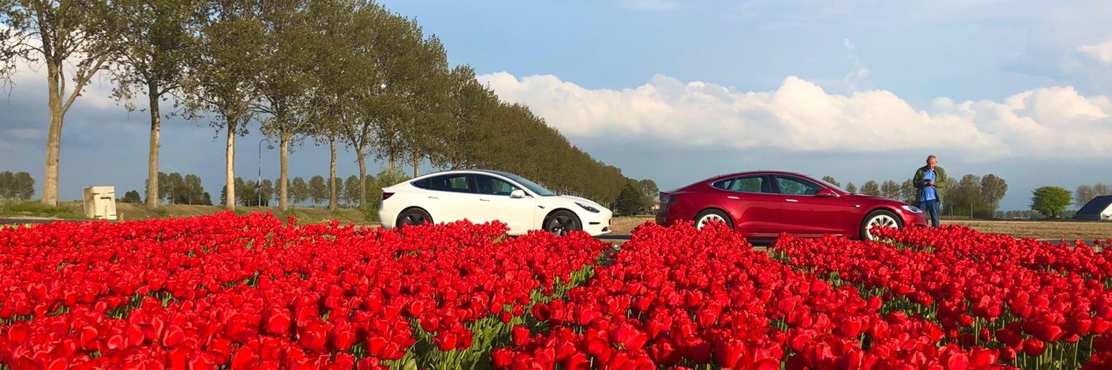 Peter van Dam banner