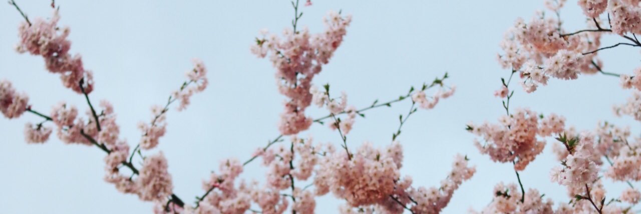 ElineMarlin's profile banner image
