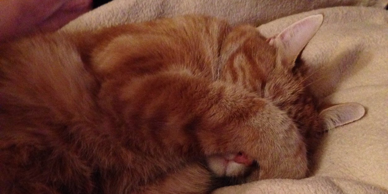 Natasha Tabor banner