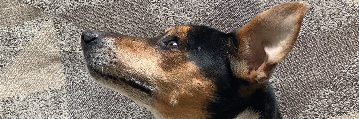 ppedrinhobb's profile banner image