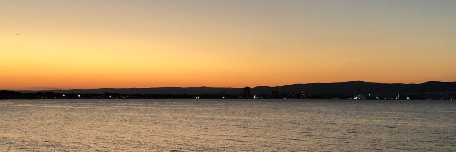 Maria Avramova banner