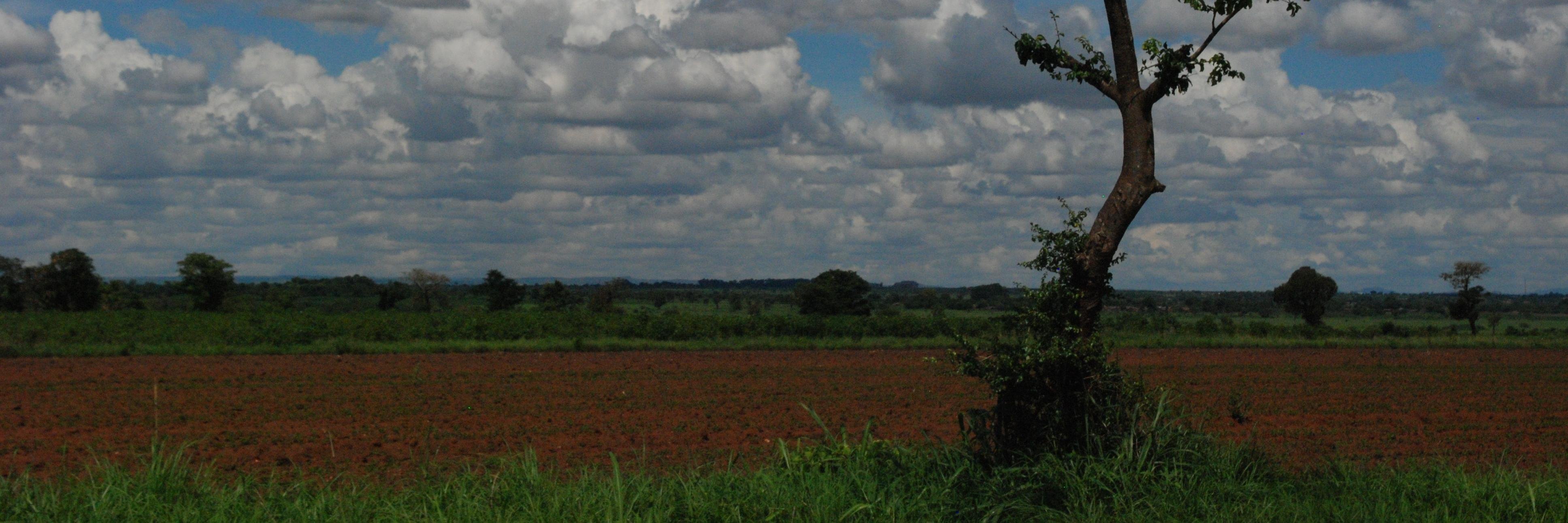 Natasha Gilbert banner