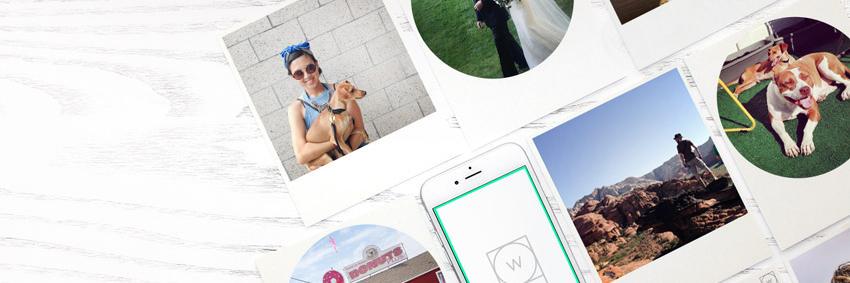 WhiteAlbumApp's profile banner image
