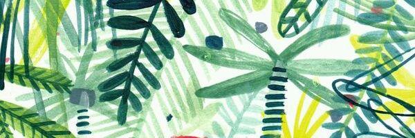 ftmafer's profile banner image