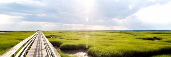 CWM_FIN_SERV Profile Banner