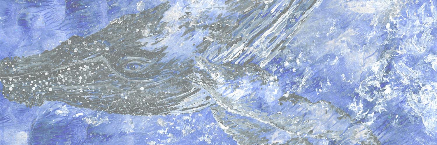 supportmarius's profile banner image