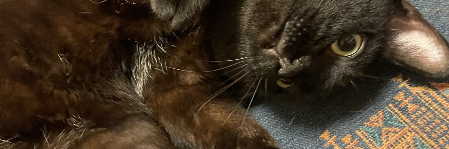 異儀田夏葉 banner