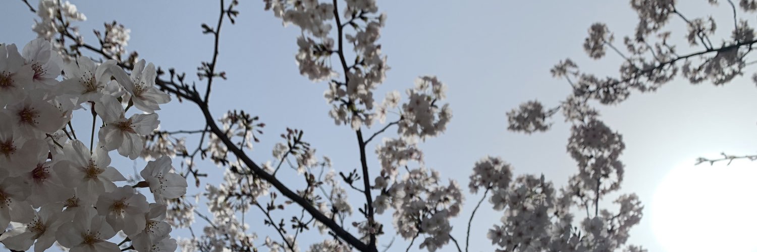 ツミ※サマー banner