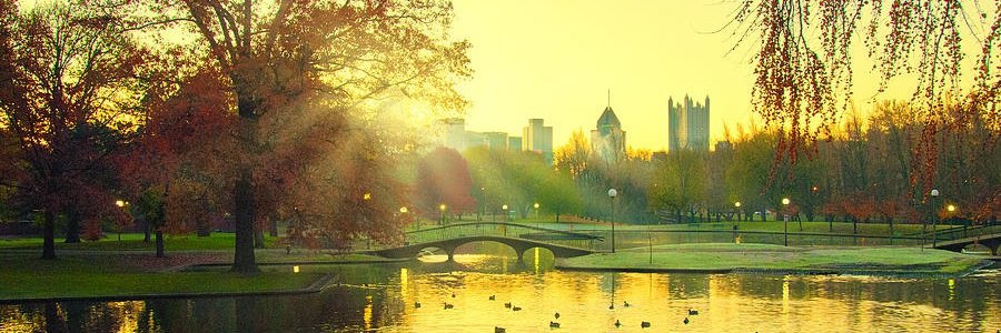 thehappyrph's profile banner image