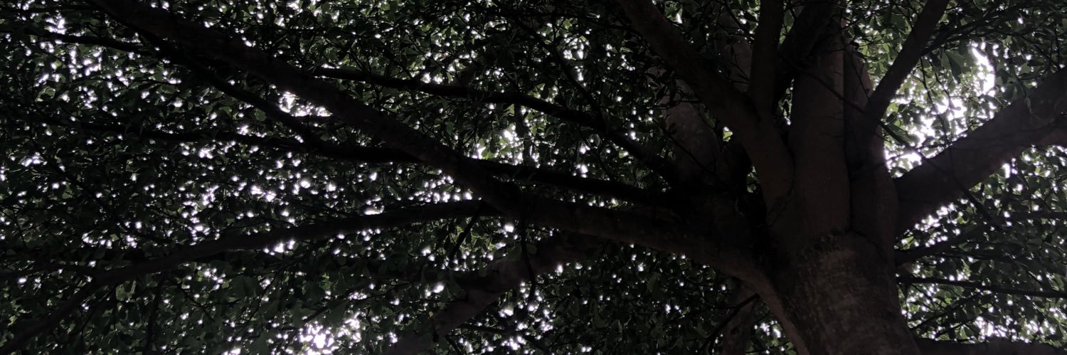 rikoedamz's profile banner image