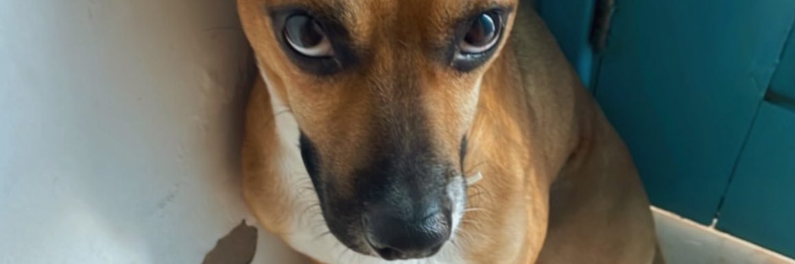 marimfreire's profile banner image