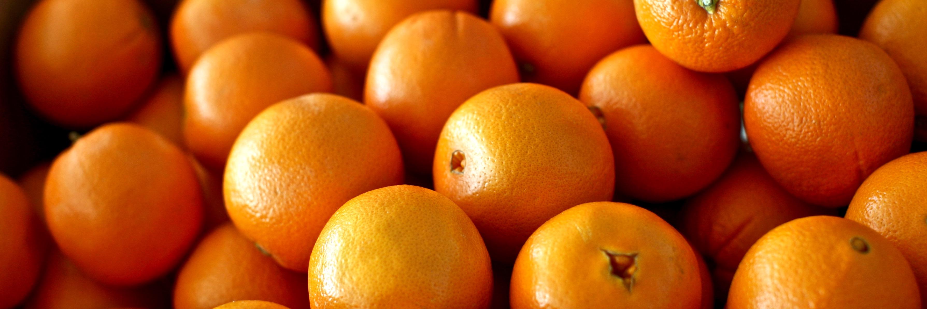 lemonicus's profile banner image