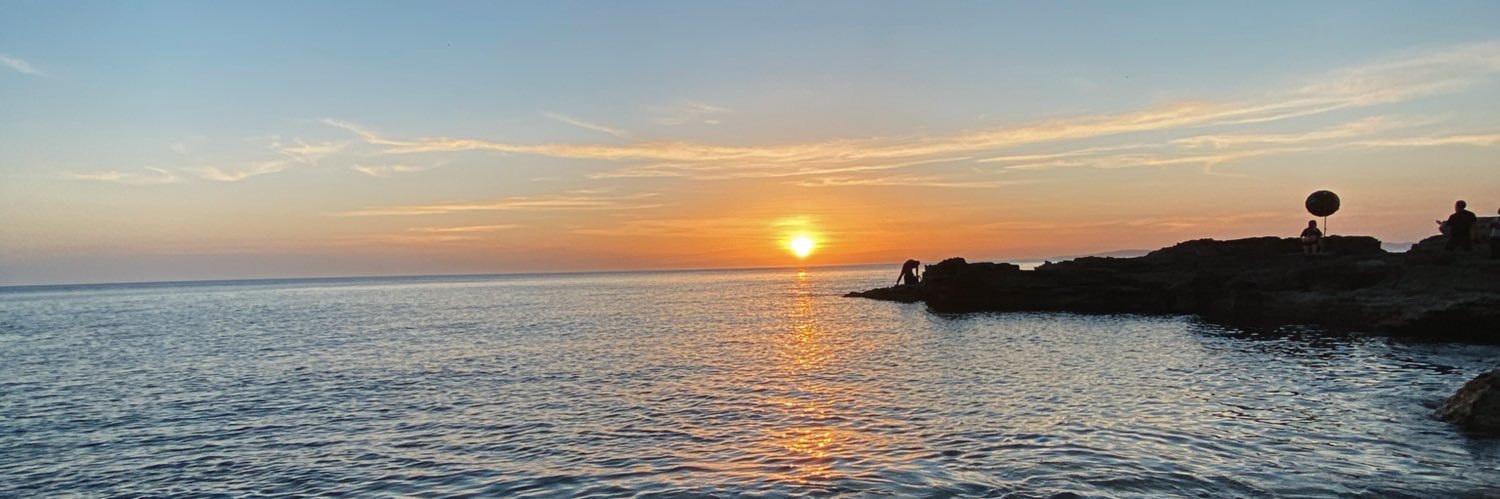 RosaliaFECA's profile banner image