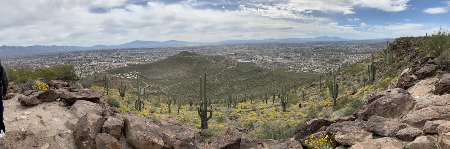 Jeffrey Roberts banner