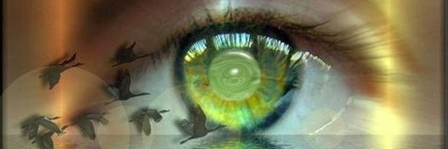 sdiazmonroy's profile banner image