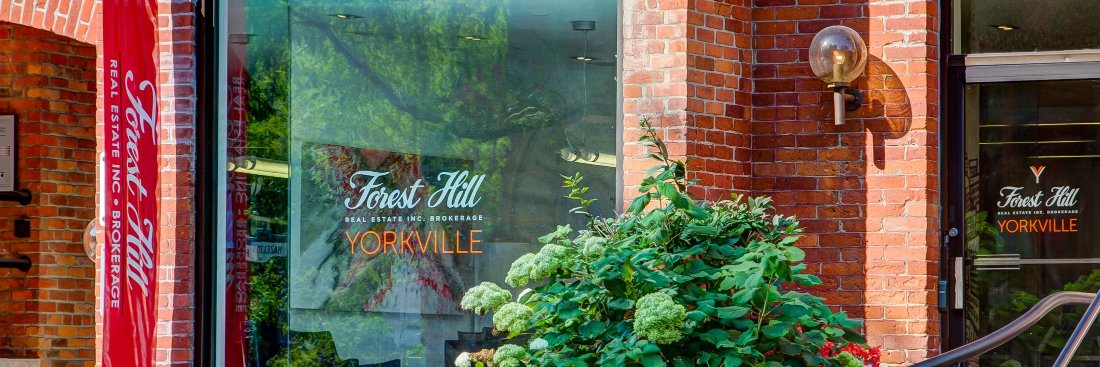 DonnaBulika's profile banner image