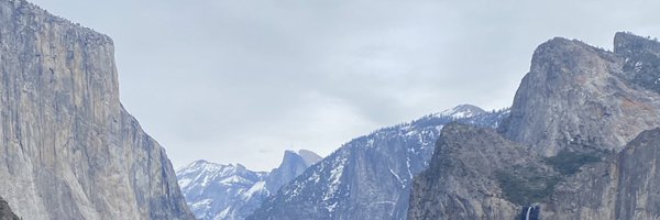 LizRappaport Profile Banner