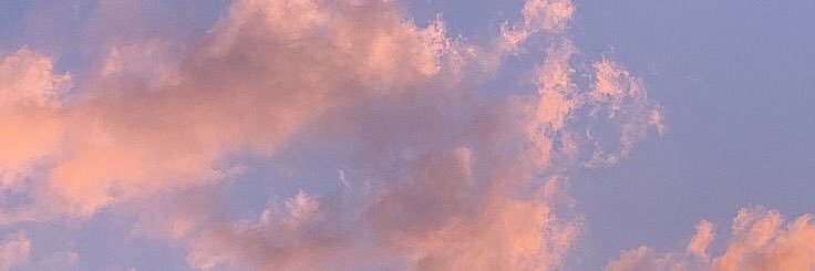 rayda_sc's profile banner image