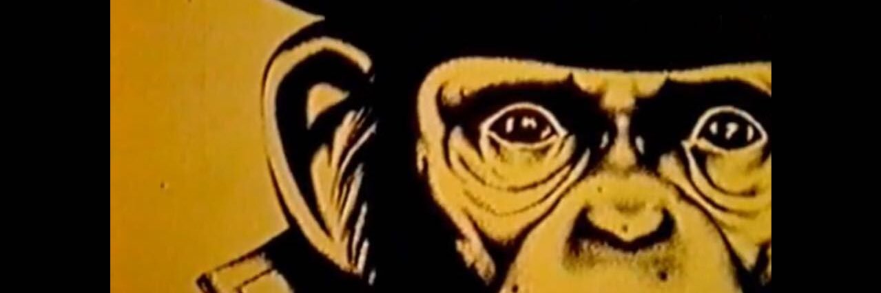 Kelpers2's profile banner image