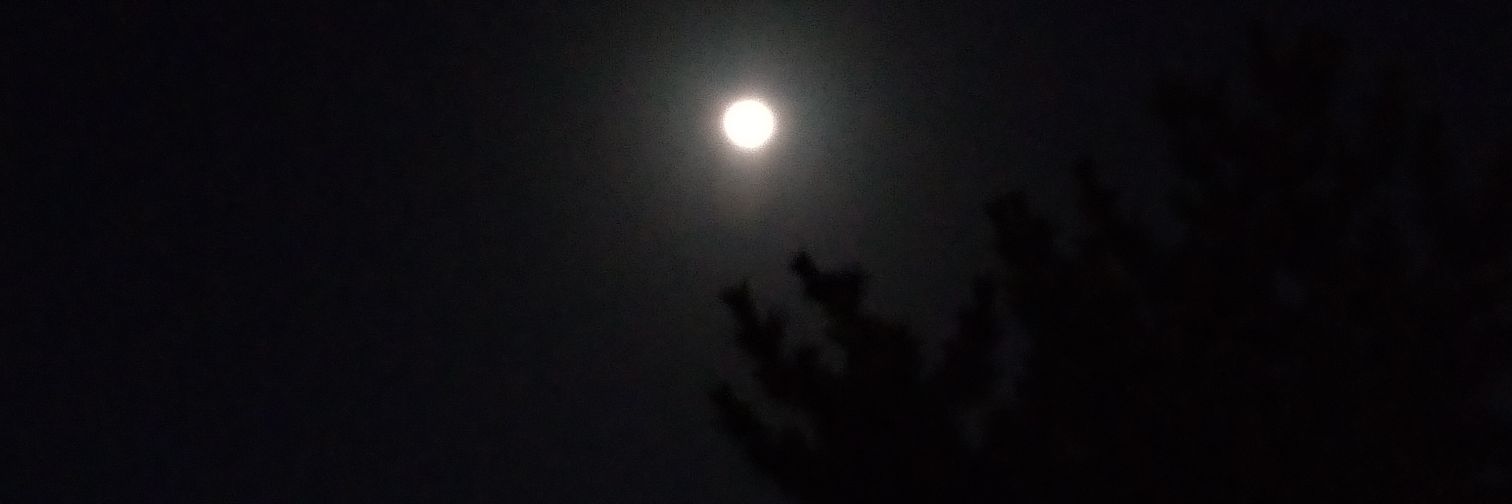 クロmium🐈‍⬛ banner