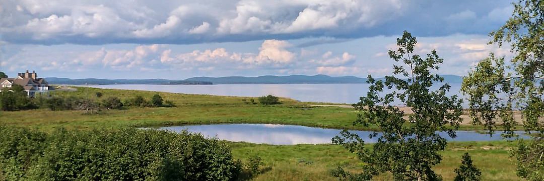 John Richmond, PhD banner