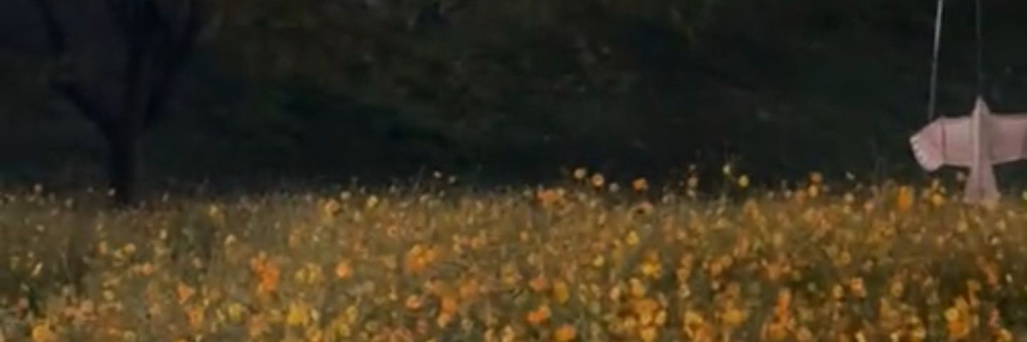 valianagk's profile banner image