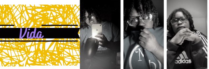 _Vidaaa's profile banner image