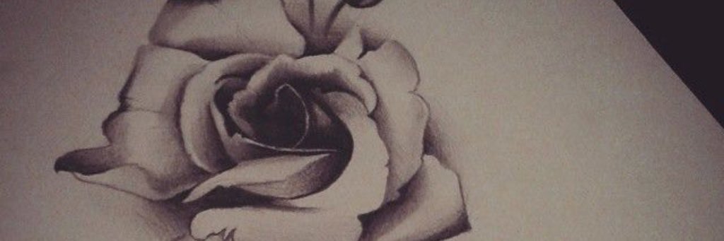 lovely_alba's profile banner image