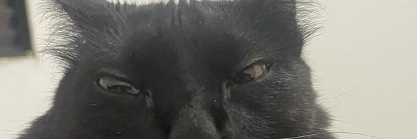 kaelnairo's profile banner image