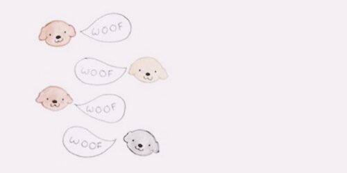 LaylaSmithZP's profile banner image