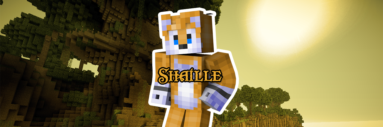 SoldatShaille's profile banner image