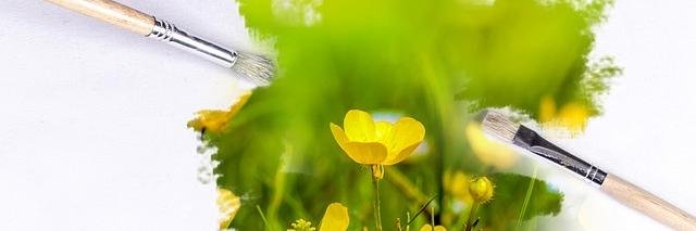 Debra Butterfield banner