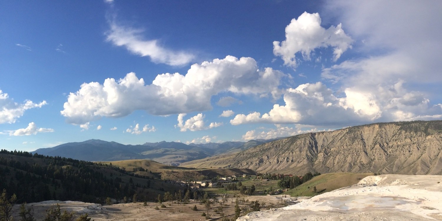 Tyler Schrader banner