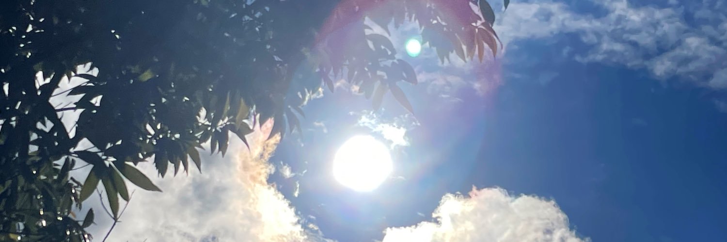 chibironi's profile banner image