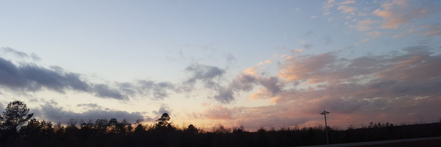barbarabush41's profile banner image