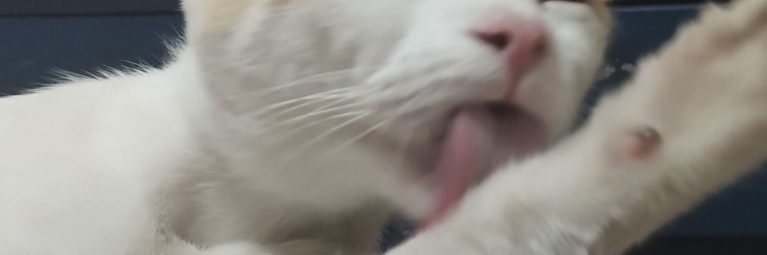 BassoAmaya's profile banner image